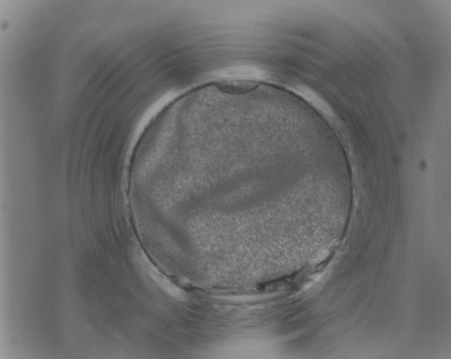 X0000074291248200609081844