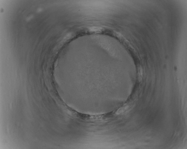 X0000074291249200609081843