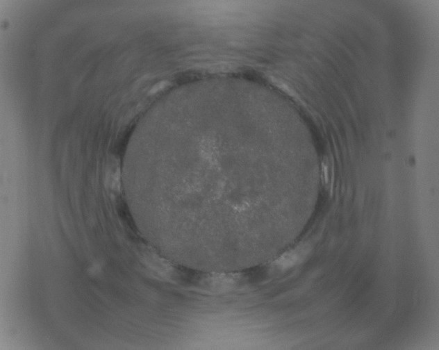 X0000074291251200609081843