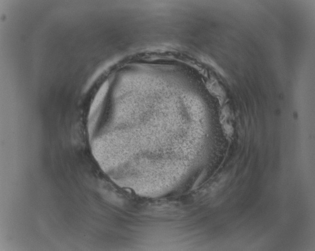 X0000074291256200609081843