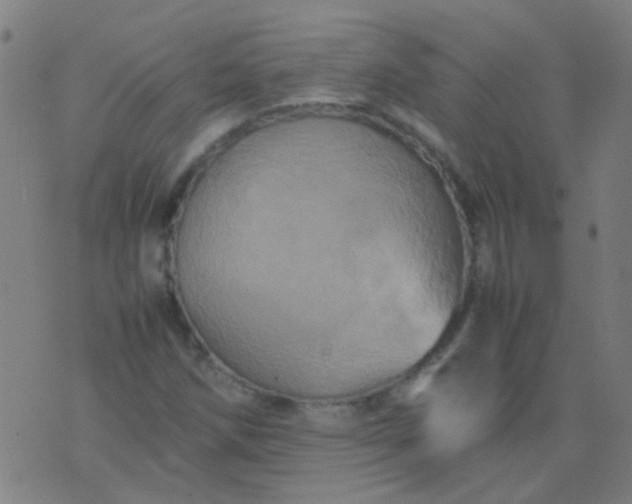 X0000074291258200609081843