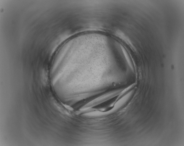 X0000074291260200609081843