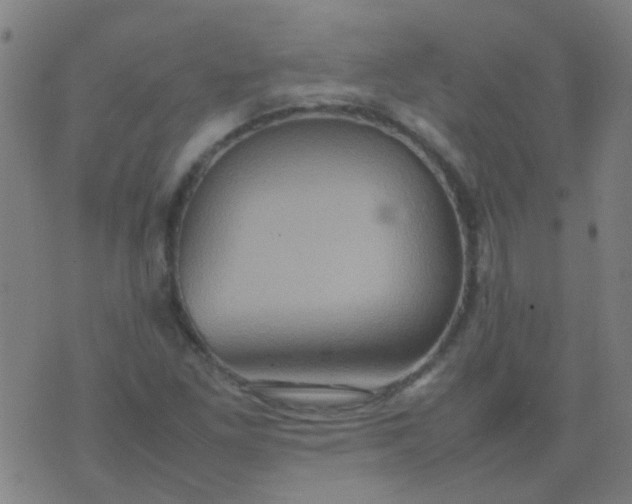 X0000074291261200609081843