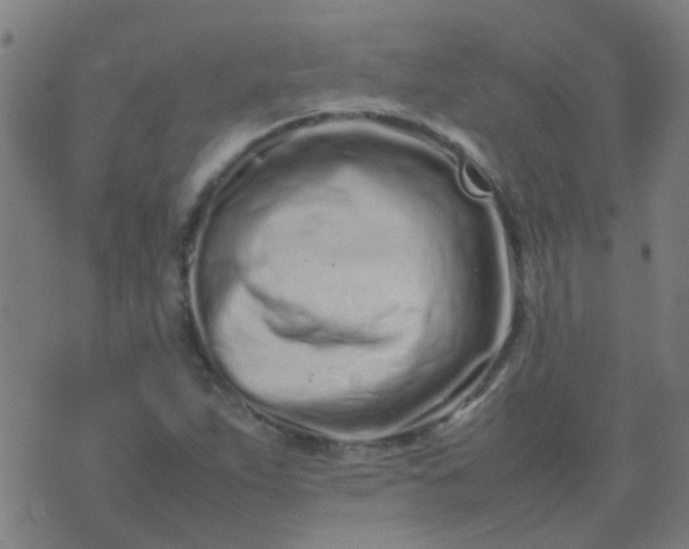 X0000074291263200609081843