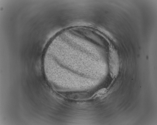 X0000074291264200609081843