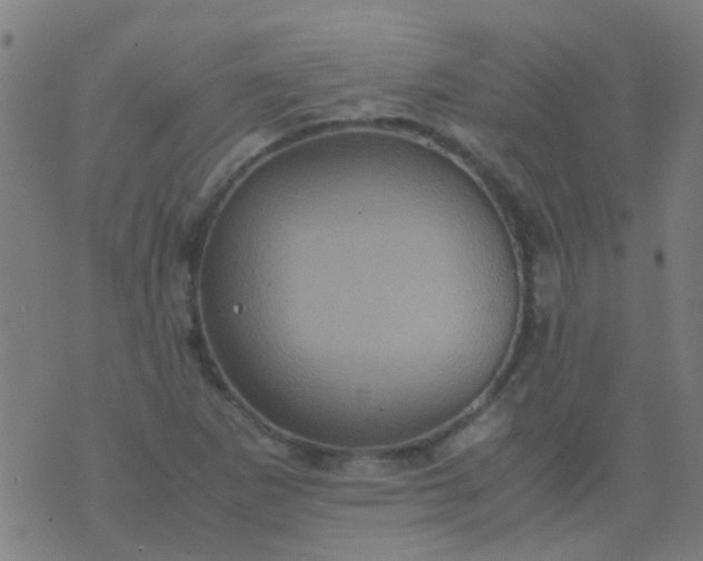 X0000074291265200609081843