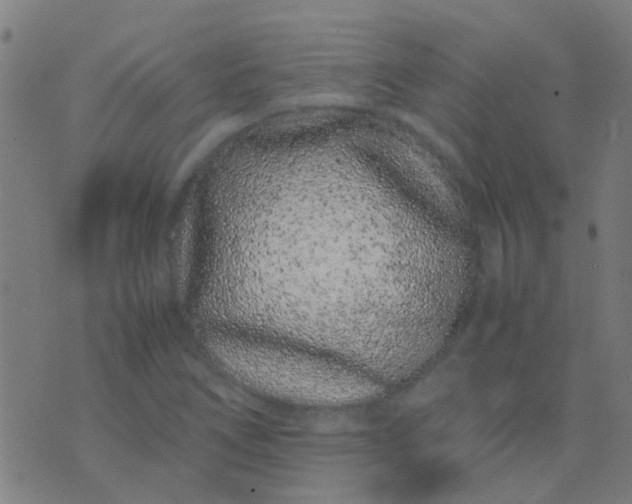 X0000074291266200609081843