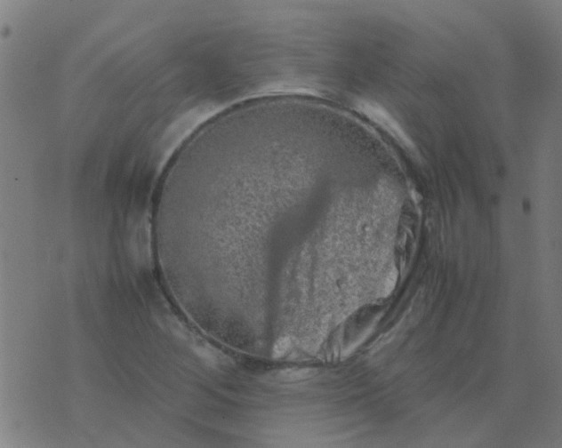 X0000074291268200609081843