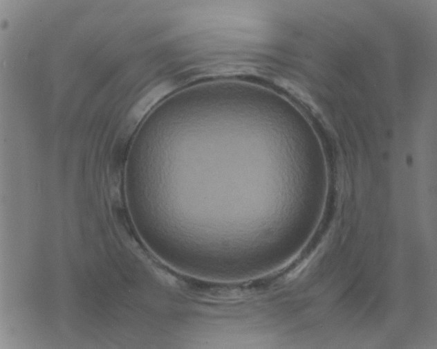 X0000074291273200609081843