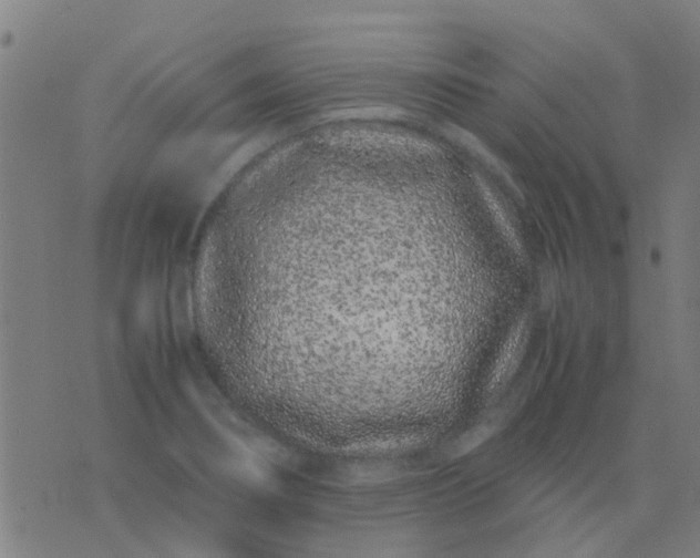 X0000074291274200609081843