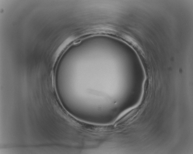 X0000074291275200609081843