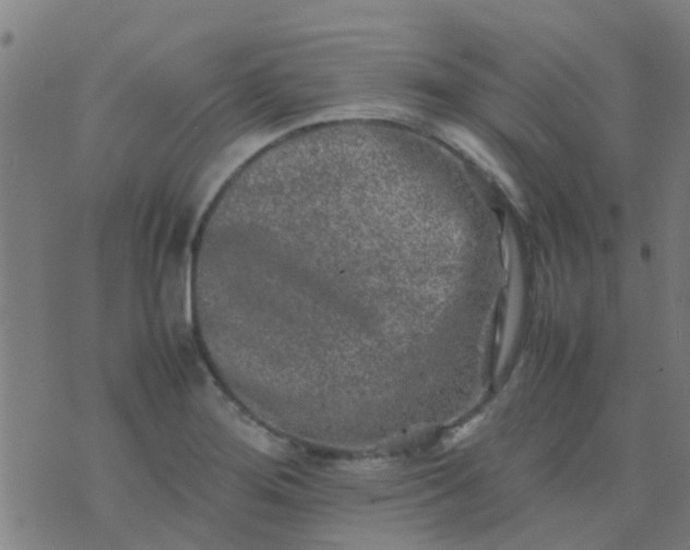 X0000074291276200609081843