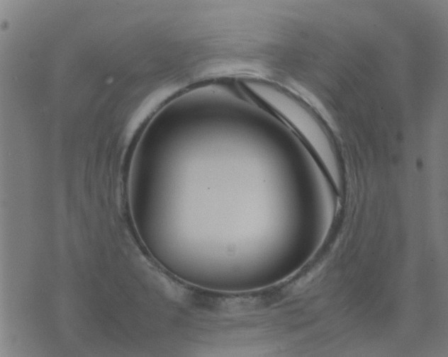 X0000074291277200609081843