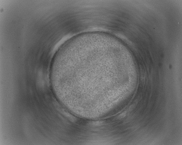 X0000074291278200609081843