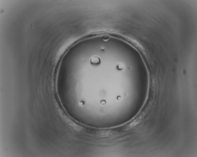 X0000074291279200609081843