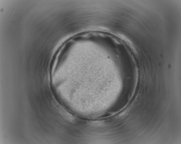 X0000074291280200609081843