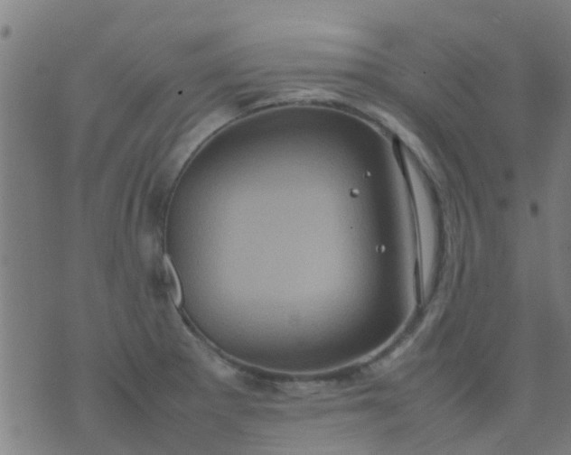 X0000074291281200609081843