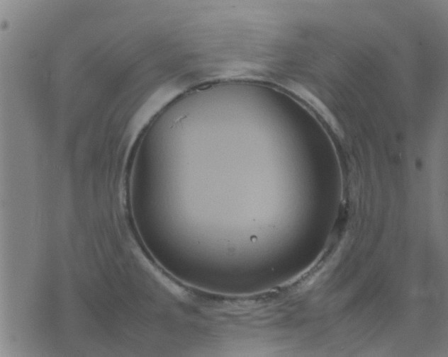 X0000074291285200609081843