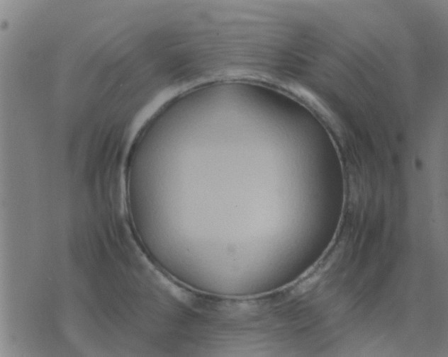 X0000074291286200609081843