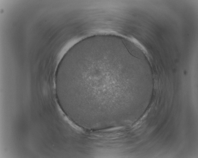 X0000074291287200609081843