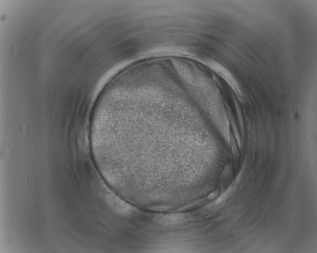 X0000074291288200609081843