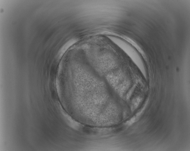 X0000074291289200609081842