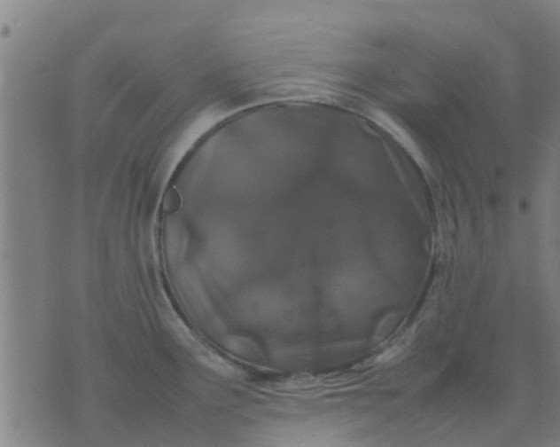 X0000074291291200609081842