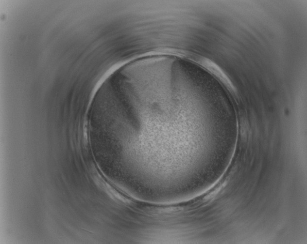 X0000074291292200609081842