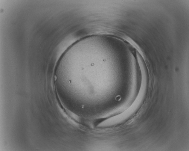 X0000074291293200609081842