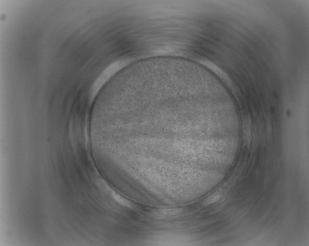 X0000074291294200609081842