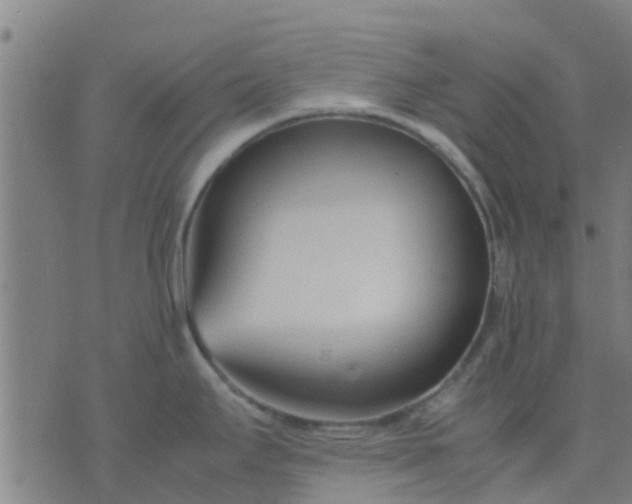 X0000074291295200609081842