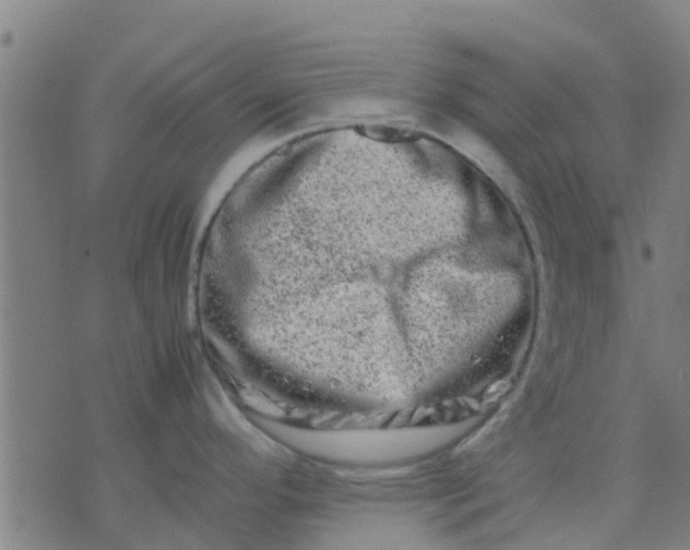 X0000074291296200609081842