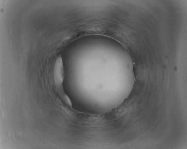 X0000074291297200609081842