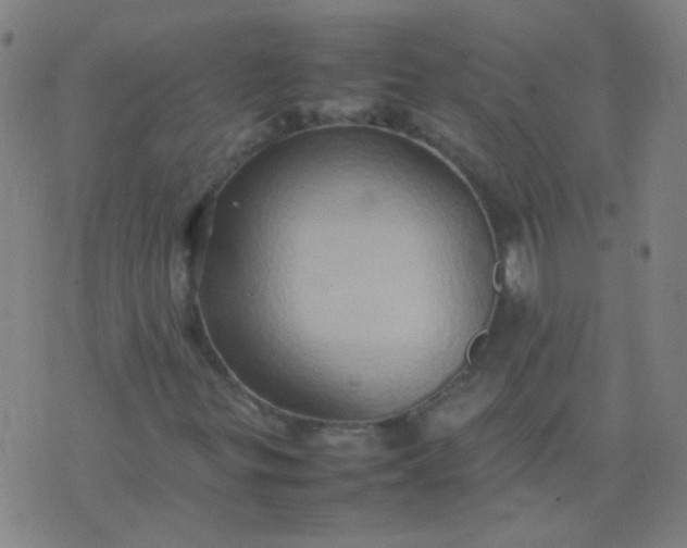 X0000074291299200609081842