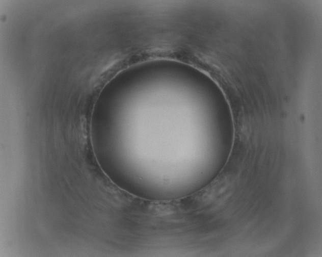 X0000074291301200609081842