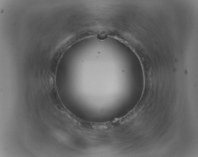 X0000074291302200609081842