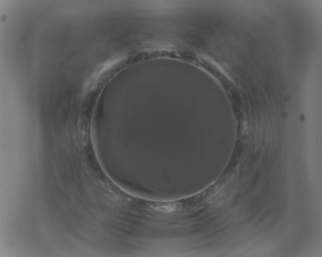 X0000074291303200609081842