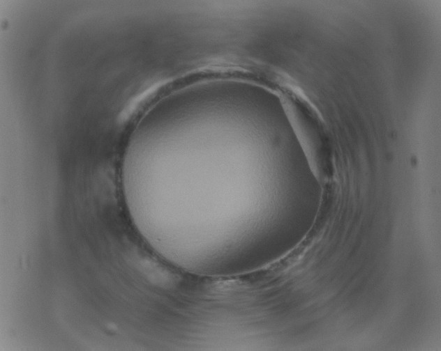 X0000074291304200609081842