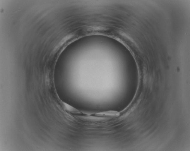 X0000074291305200609081842