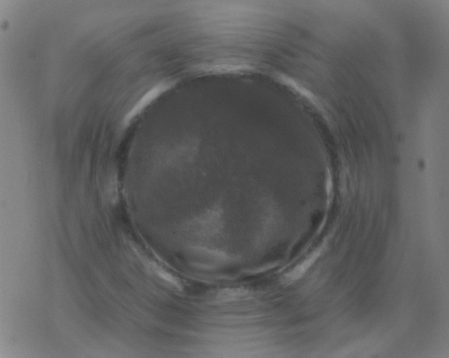 X0000074291306200609081842