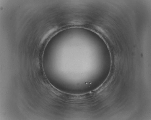 X0000074291307200609081842