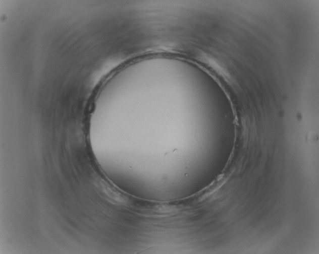 X0000074291308200609081842