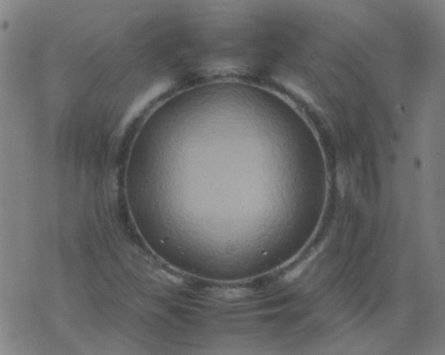 X0000074291309200609081842