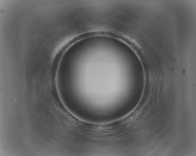 X0000074291311200609081842