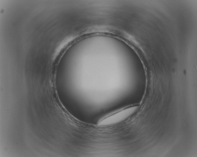 X0000074291312200609081842