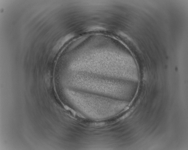 X0000074291313200609081842