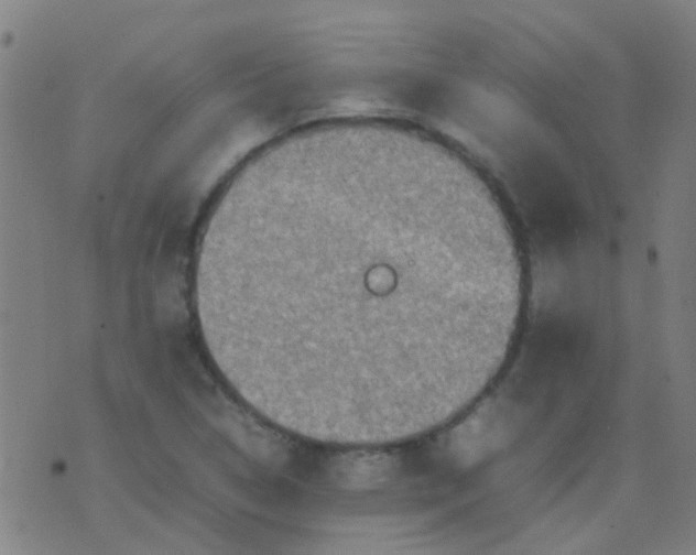 X0000074291314200609081842