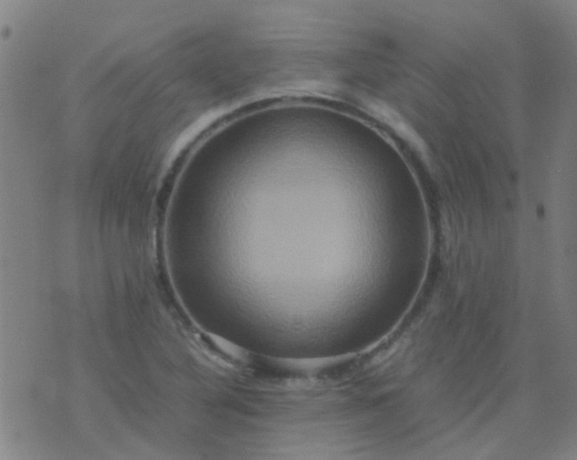 X0000074291316200609081842