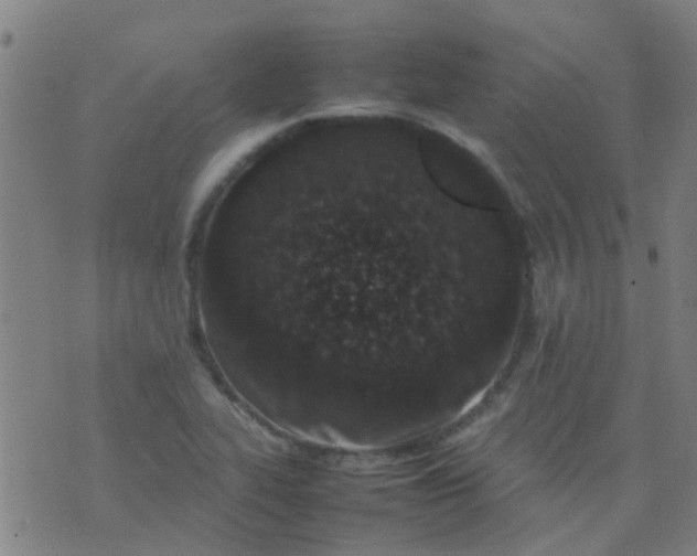 X0000074291319200609081842