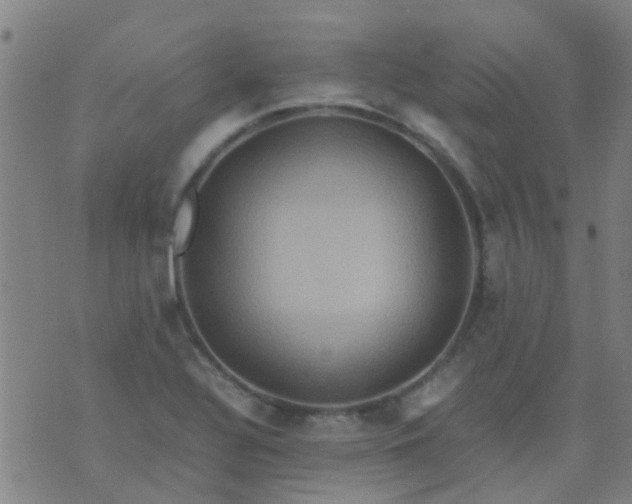 X0000074291320200609081842